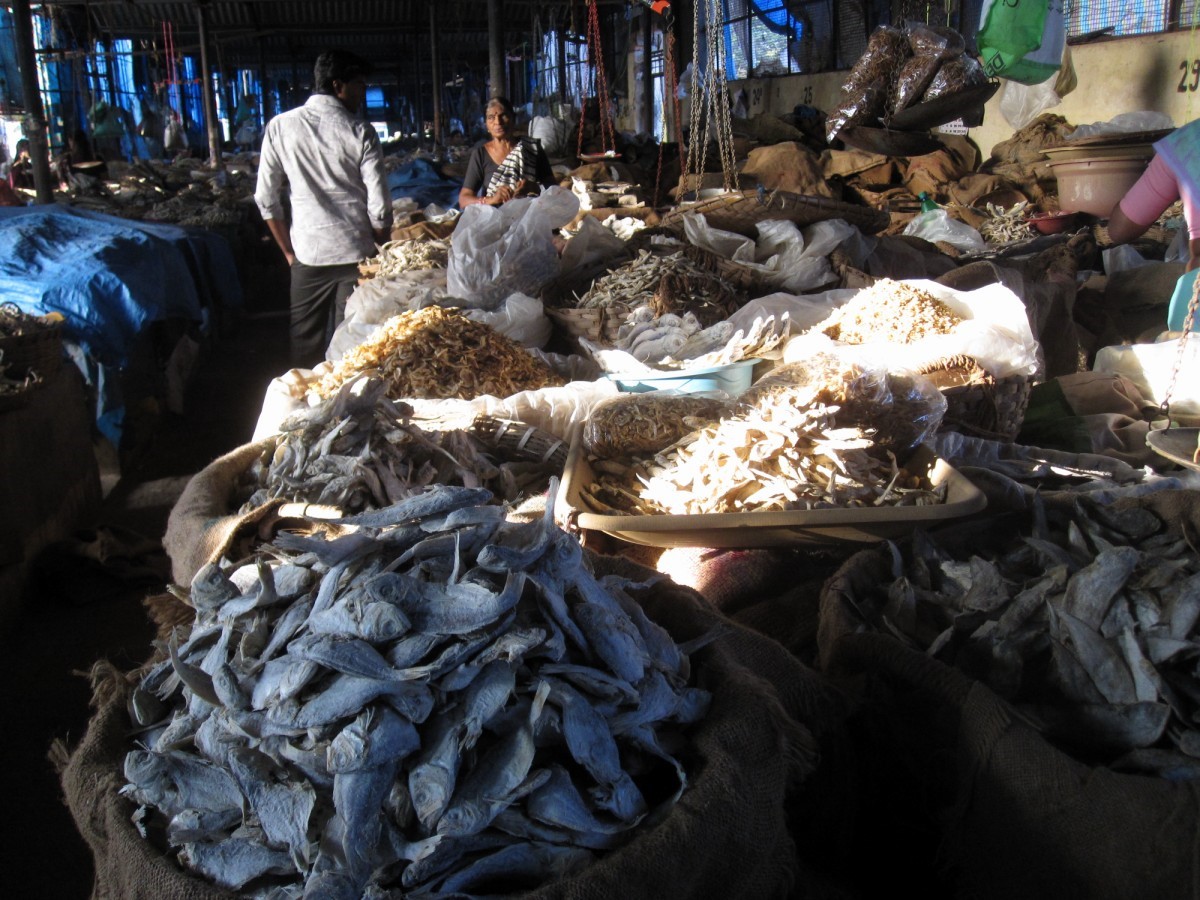 Mangalore Mangalore Mangalore Dry Fish Market